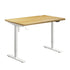 Electric Standing Desk Single Motor White&Oak 120cm