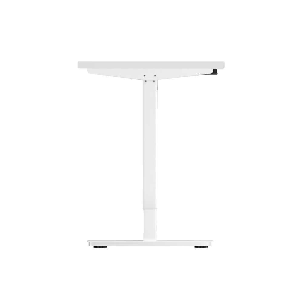 Electric Standing Desk Single Motor White&Walnut 120cm
