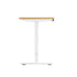 Electric Standing Desk Single Motor White&Oak 140cm