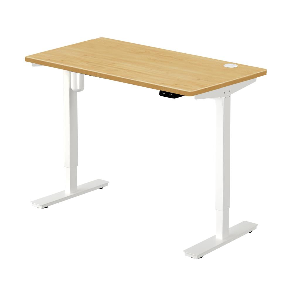 Electric Standing Desk Single Motor White&Oak 150cm
