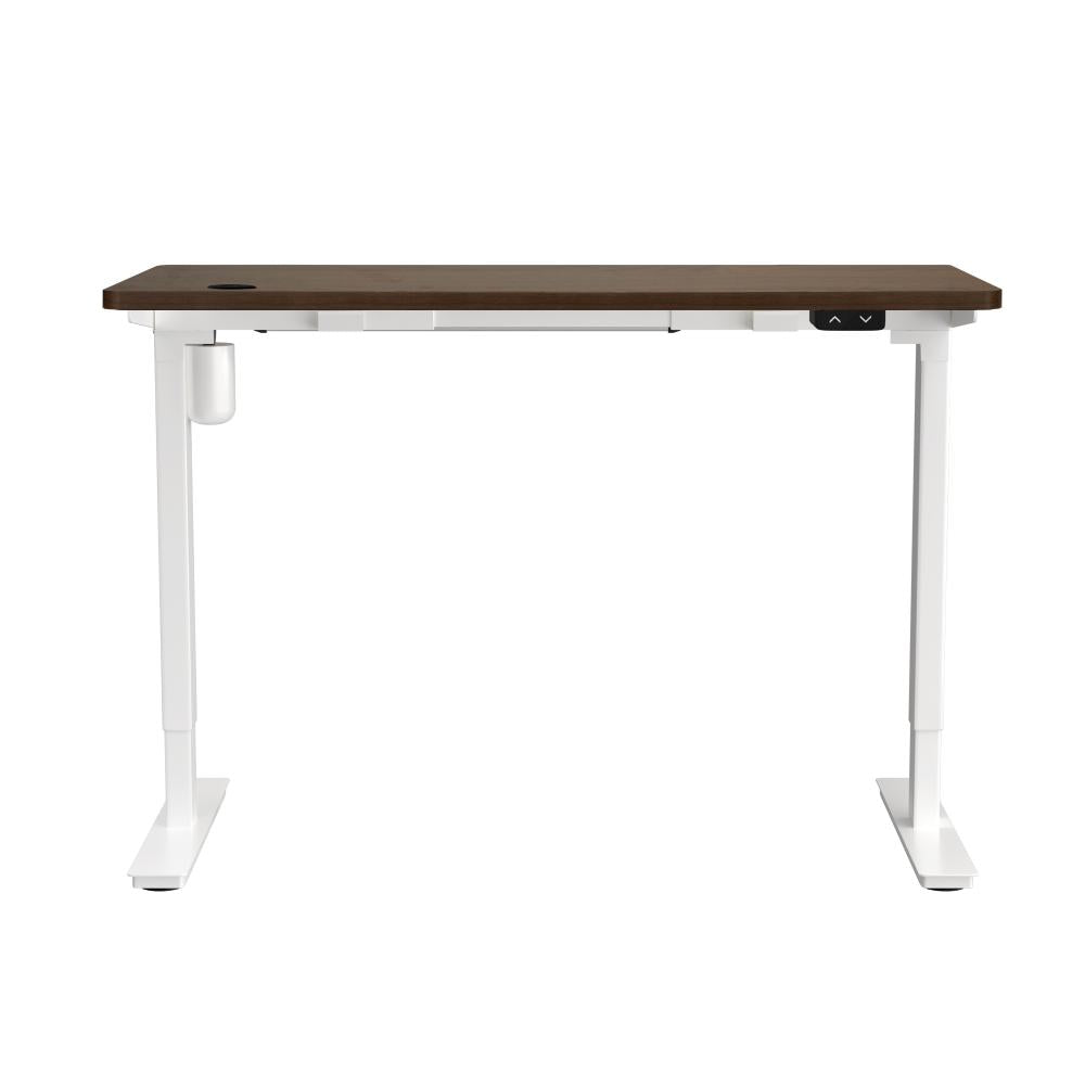 Electric Standing Desk Single Motor White&Walnut 150cm