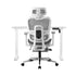 Oikiture Office Desk and Chair Set Mesh Ergonomic Chair Sit-stand Desk GY&WH