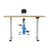 Artiss Under Desk Folding X-Bike with 140cm Automatic Standing Desk Magnetic Resistance Oak