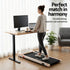 Electric Treadmill with 120cm Automatic Standing Desk Walking Pad 360mm