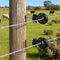 100PCS Electric Fence Ring Insulators 25cm Screw In Stand Off Black