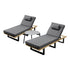 Livsip 3‑Piece Sun Lounge Set – Grey, 5‑Level Recline, Cushions & Table