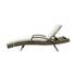 Outdoor Sun Lounger Waterproof Adjustable Grey&Beige X2