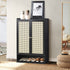 Shoe Storage Cabinet 2 Doors Rattan Black