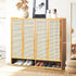 Shoe Storage Cabinet 4 Doors Rattan Brown