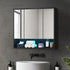 Bathroom Mirror Cabinet LED Wall Storage 900x750mm Black