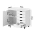 Filing Cabinet 1 Door 5 Drawer Mobile Office Storage White