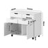 Filing Cabinet 2 Door 4 Drawer Mobile Office Storage White