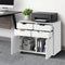 Filing Cabinet 2 Door 4 Drawer Mobile Office Storage White