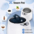 Portable Steam Sauna Tent 1000W 2L Steamer Pot Personal Home SPA Timer
