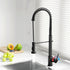 Pull Out Kitchen Mixer Tap Black 360° Swivel Gooseneck Faucet