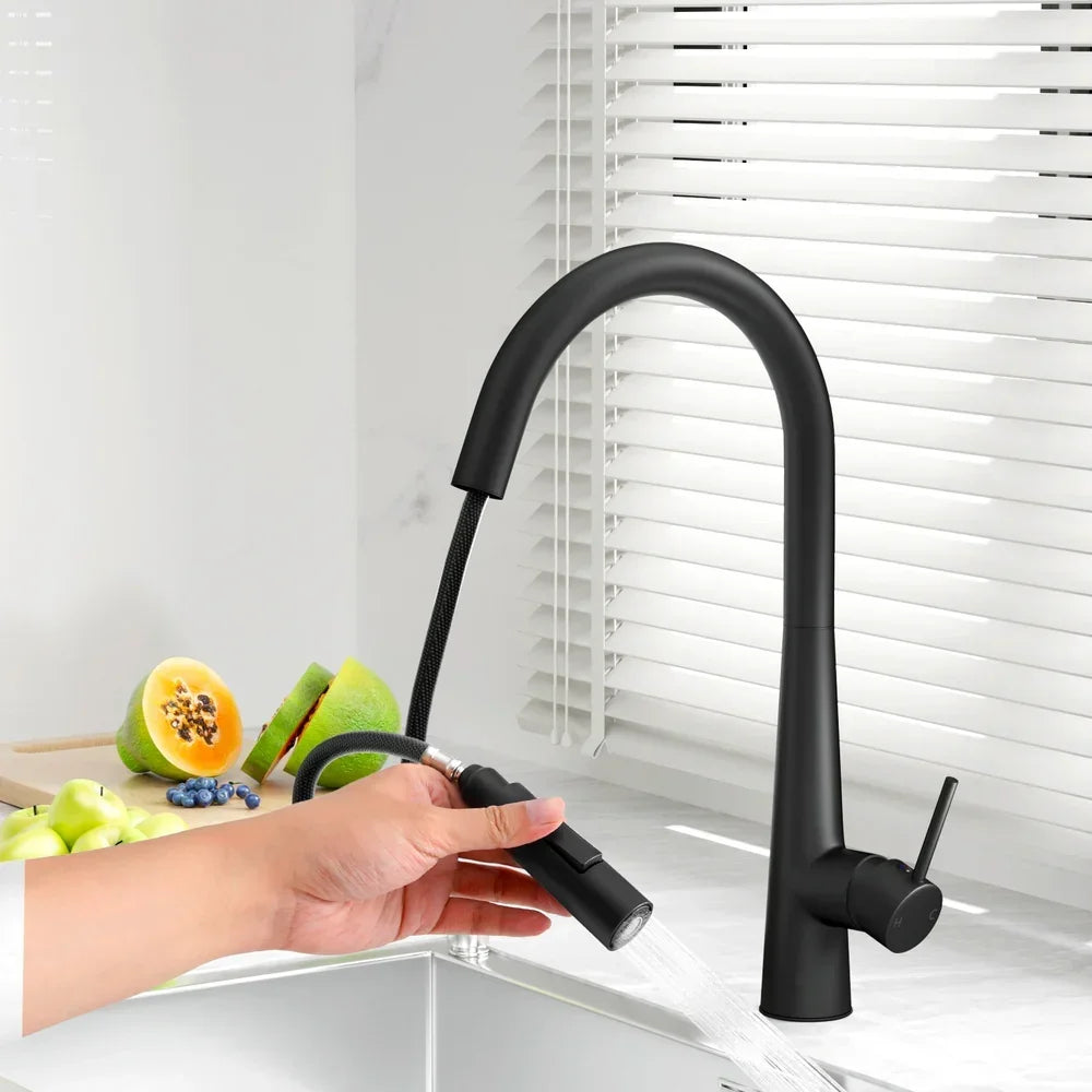 Kitchen Mixer Tap Pull Out Round 2 Mode Sink Basin Faucet Swivel WELS Black