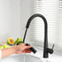 Kitchen Mixer Tap Pull Out Round 2 Mode Sink Basin Faucet Swivel WELS Black