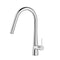 Kitchen Mixer Tap Pull Out Round 2 Mode Sink Basin Faucet Swivel WELS Chrome