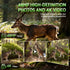 4K WiFi Trail Camera 48MP 0.2s Trigger Game Camera Camo
