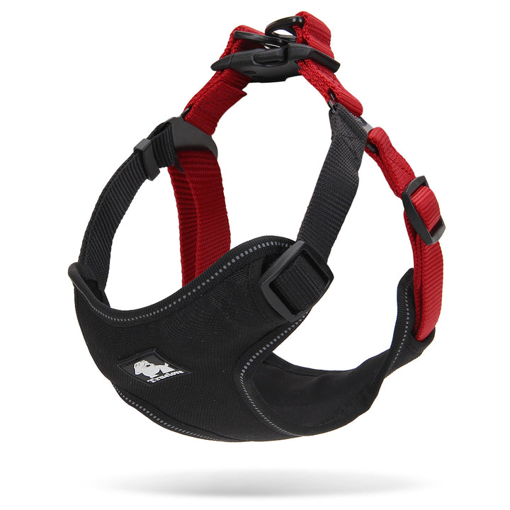 True Love Urban Dog Harness - Red, S-1962324865914638336