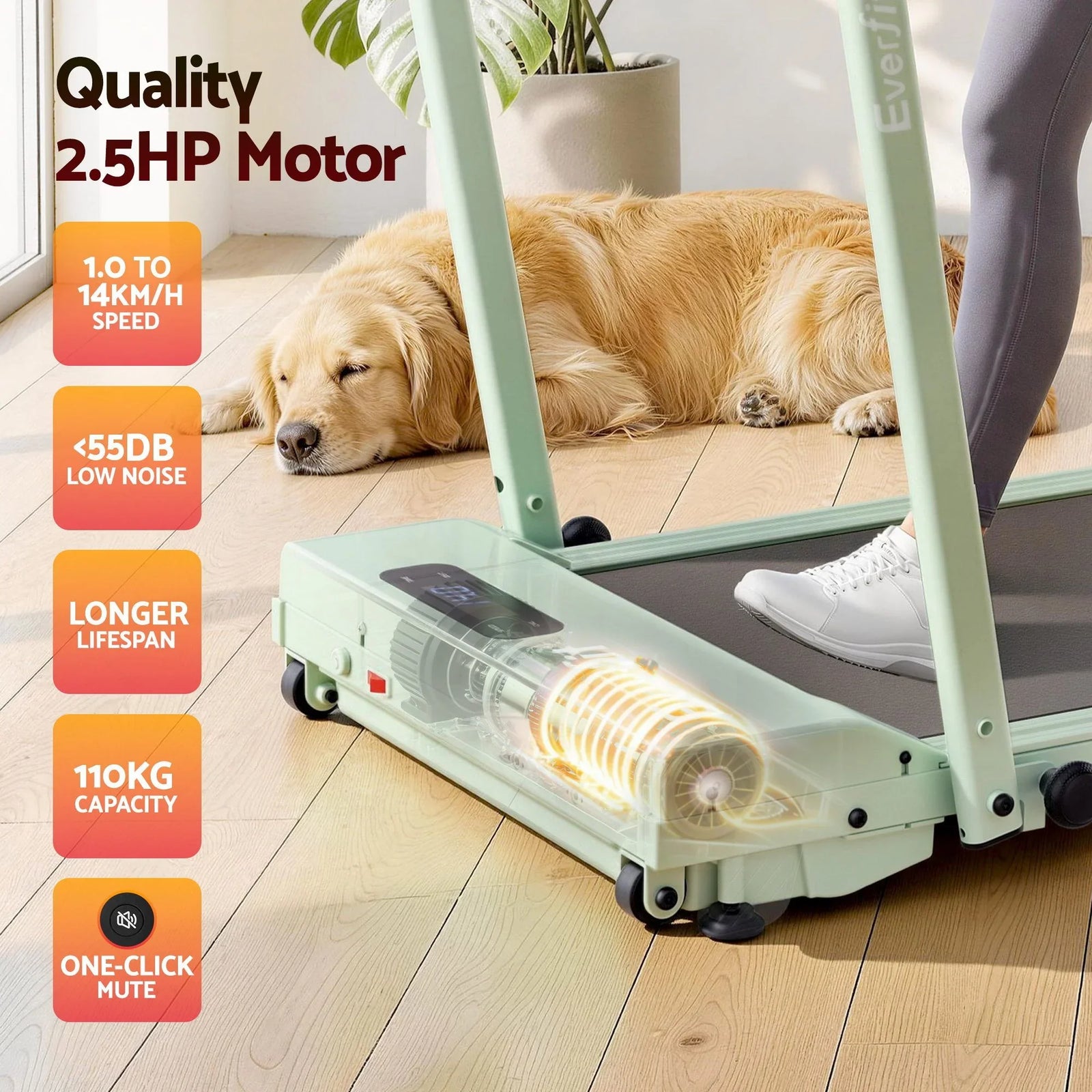 3‑in‑1 Walking Pad Treadmill – 12% Incline, Foldable Under‑Desk, APP Control