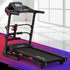 Everfit Treadmill Electric Home Gym Fitness Exercise Machine w/ Sit Up Bar 420mm