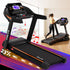 Treadmill Electric Auto Incline Home Gym Fitness Exercise Machine 490mm