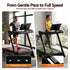 500mm Wide Belt Treadmill 30% Auto Incline Foldable Treadmills for Home with LED Lights