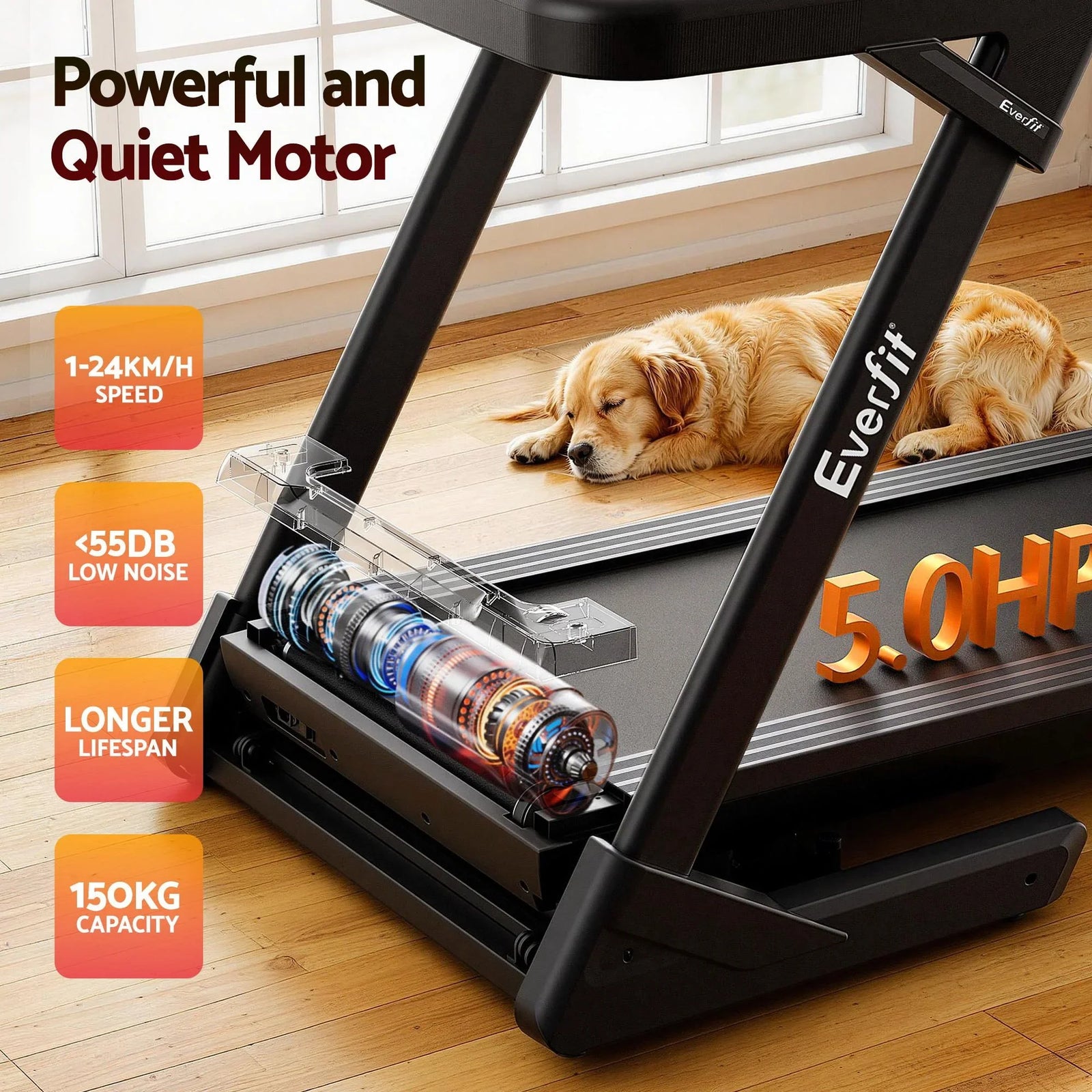 500mm Wide Belt Treadmill 30% Auto Incline Foldable Treadmills for Home with LED Lights
