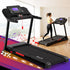 Treadmill Electric Auto Incline Home Gym Fitness Exercise Machine 520mm