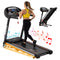Treadmill Electric Auto Incline Home Gym Fitness Exercise Machine 450mm
