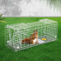Large Humane Animal Trap Cage – Galvanised Wire, Spring Door, Collapsible