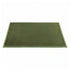 Artiss Tatami Floor Mattress 200x200cm 3cm Foam Futon Mat Coral Velvet Green