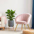 Eloise Armchair – Velvet Accent Chair, Wide Back, Gold Legs, Pink