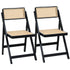 Artiss 2x Dining Chairs Wooden Rattan Foldable Black