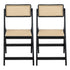 Artiss 2x Dining Chairs Wooden Rattan Foldable Black