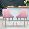 Artiss Velvet Dining Chairs Set of 2 Gold Legs Shell Accent Pink