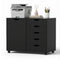 Mobile Filing Cabinet 5 Drawer with Door Modern Storage Cabinet Printer Stand