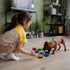 Tech4Pets 6-Pack Talking Buttons for Interactive Pet Communication