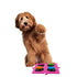 Tech4Pets Pink Mat 2-Pack for Talking Buttons & Floor