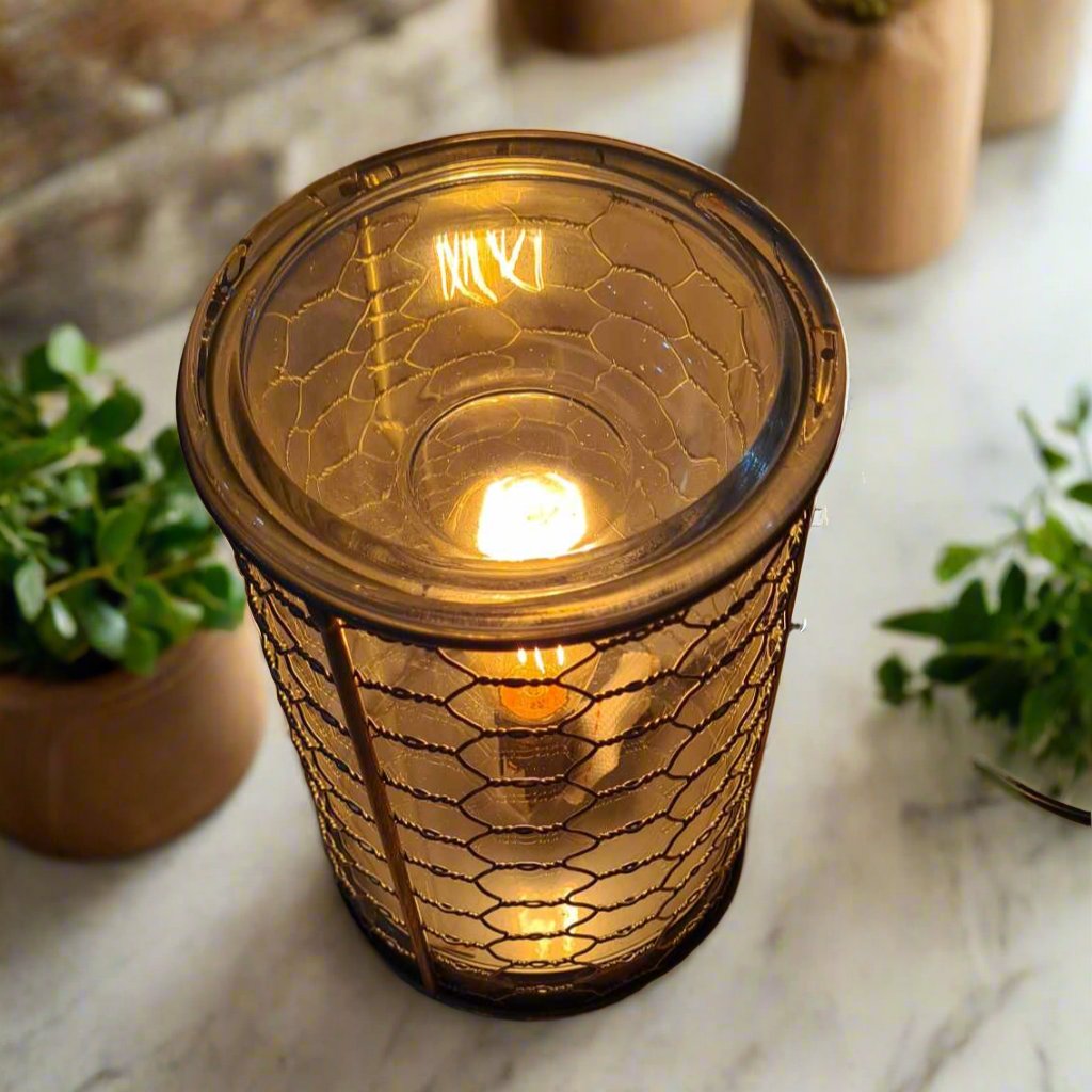 Chicken Wire Edison Bulb Illumination Warmer