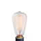 NP3 Bulb Edison