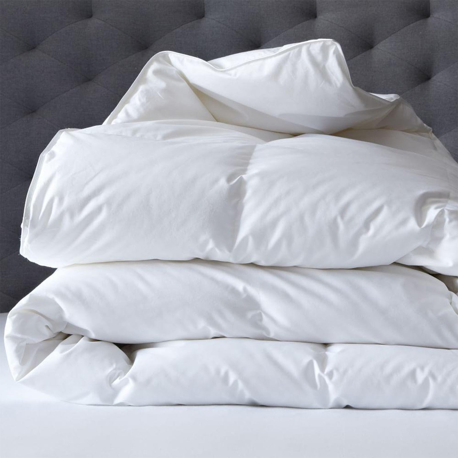 400 GSM All Seasons Natural Bamboo Queen Quilt by Renee Taylor