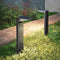 solar path lights, 2-pack, warm white cool white, four lighting modes, outdoor lighting, garden lights, driveway lights, lawn lights, Australian outdoor decor, eco-friendly path lights - Black - Size 2pcs
