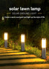 Solar Lawn Lights Stainless Steel Outdoor Lights 3-LED Garden Lights Waterproof - Black with white light - Size 1PCS