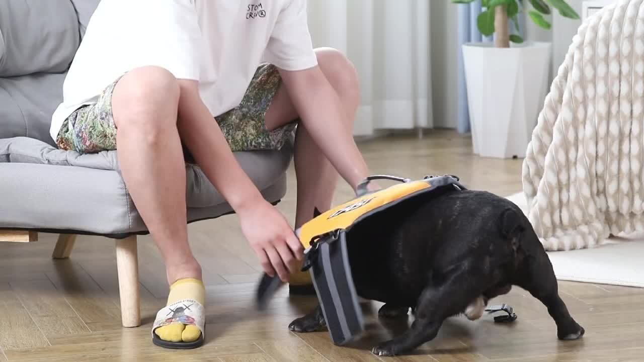 Dog buoyancy vest water adventures Pet life jacket Orange Medium