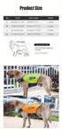 Dog buoyancy vest water adventures Pet life jacket Orange Medium