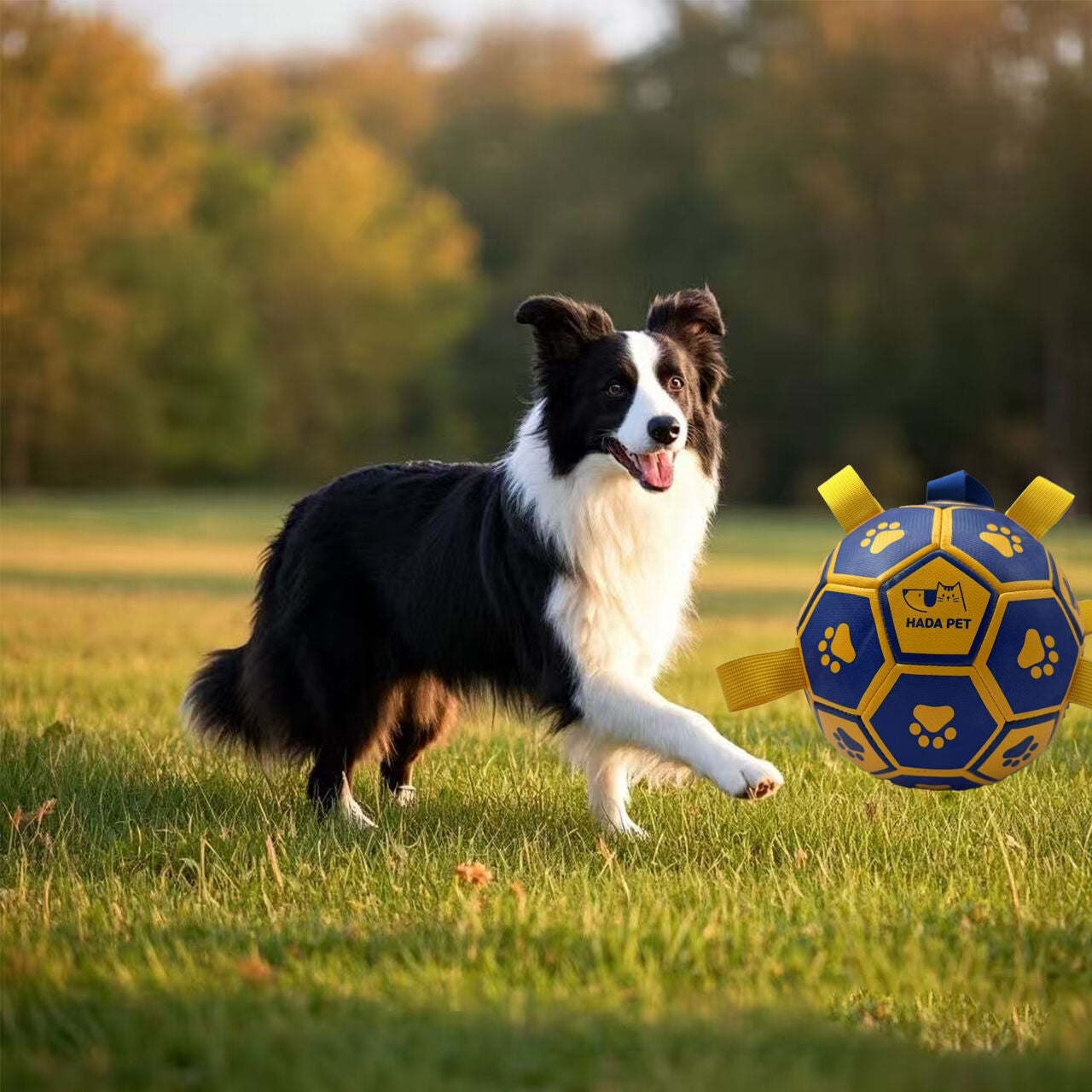 pet products Dog toy with rope Little Yellow Duck plush interactive tennis, suitable for tug-of-war, birthday gift for small dogs, draggable and durable water ball, special for small and medium-sized dogs, made of high quality PU material, which can be ki