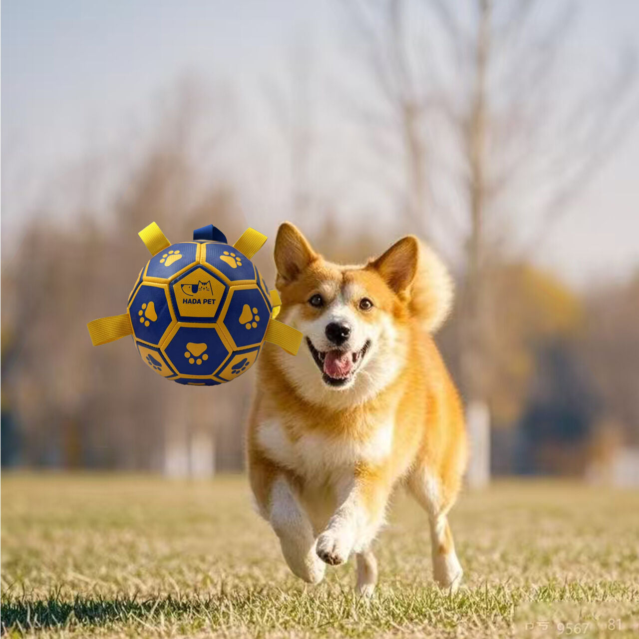 pet products Dog toy with rope Little Yellow Duck plush interactive tennis, suitable for tug-of-war, birthday gift for small dogs, draggable and durable water ball, special for small and medium-sized dogs, made of high quality PU material, which can be ki