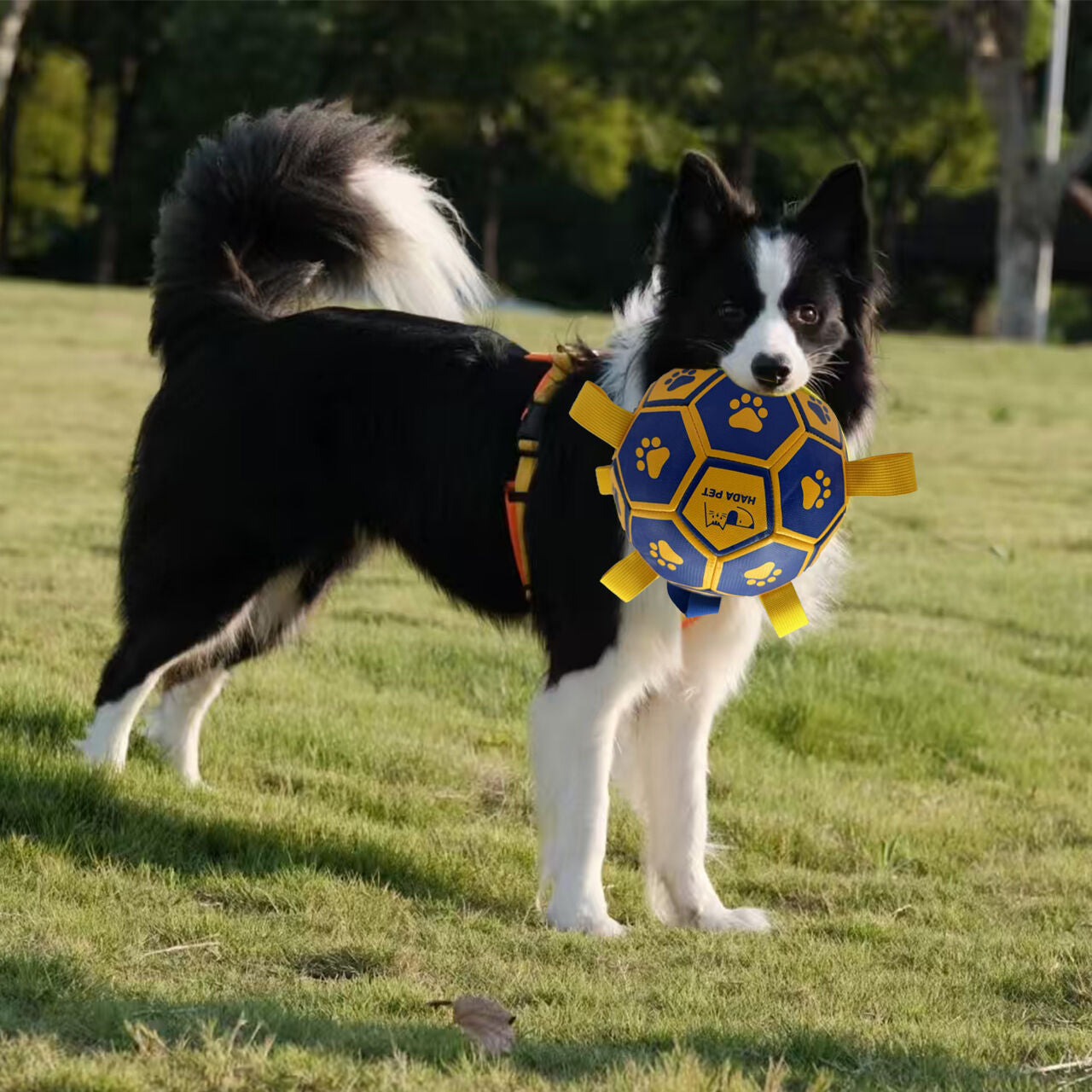 pet products Dog toy with rope Little Yellow Duck plush interactive tennis, suitable for tug-of-war, birthday gift for small dogs, draggable and durable water ball, special for small and medium-sized dogs, made of high quality PU material, which can be ki